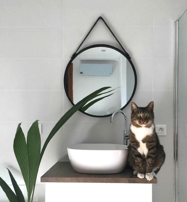 décoration salle de bains