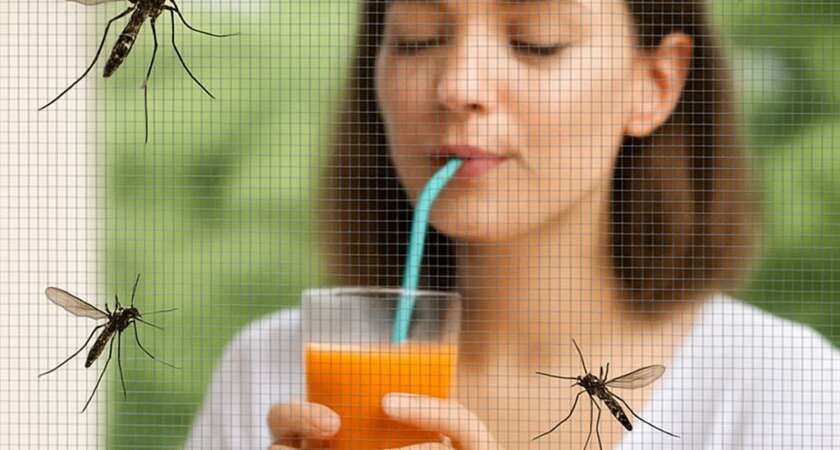 installateur de moustiquaires a martigues et dans le 13
