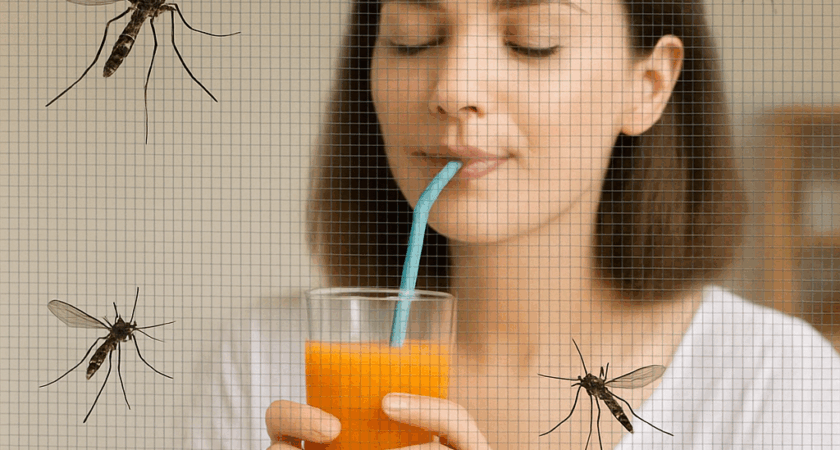 installateur de moustiquaires a martigues et dans le 13
